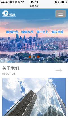 博智達(dá)實(shí)業(yè)控股（集團(tuán)）手機(jī)網(wǎng)站截圖